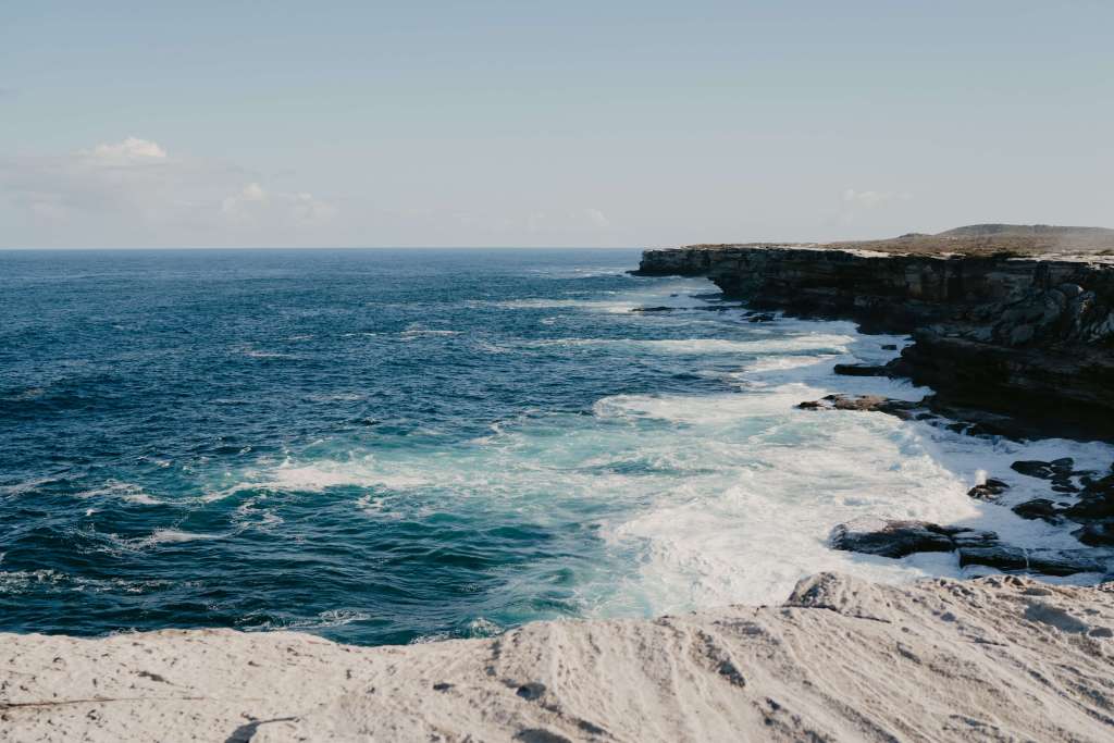 ANELLOWEDDINGS-PROPOSAL-CAPE-SOLANDER-KURNELL-BOTANY-BAY-SYDNEY