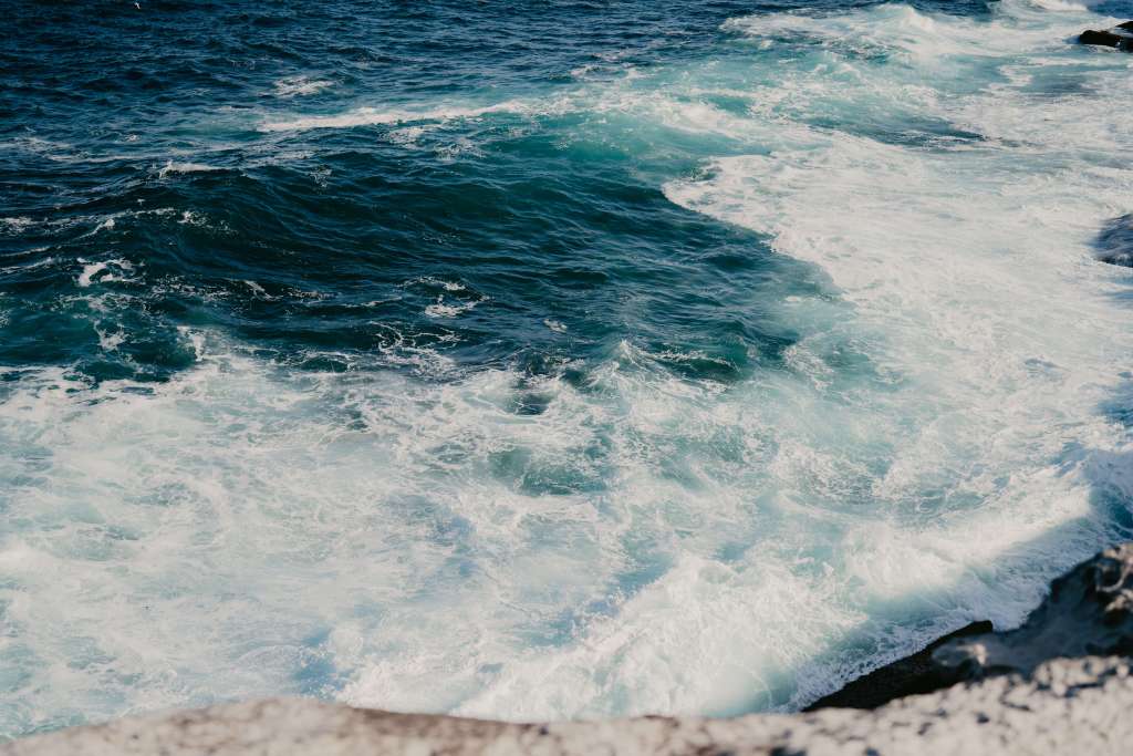 ANELLOWEDDINGS-PROPOSAL-CAPE-SOLANDER-KURNELL-BOTANY-BAY-SYDNEY