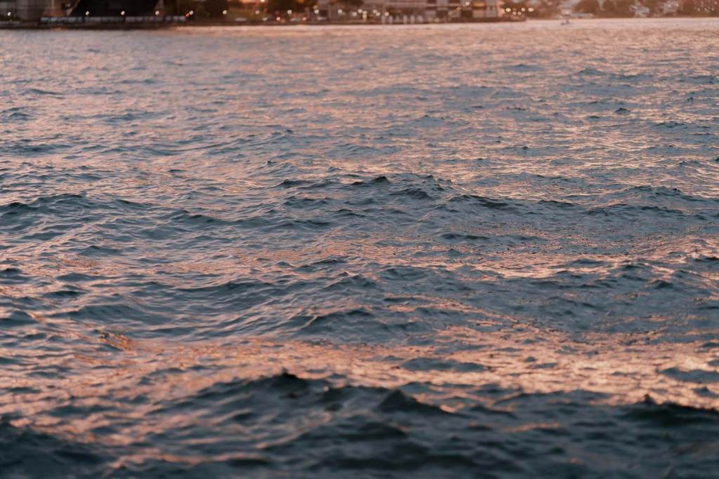 SUNSET-PROPOSAL-LOCATIONS-SYDNEY-MARY-BOOTH-LOOKOUT