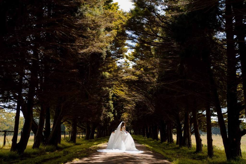 Bride in Yulia McCauley Wedding Dress between trees