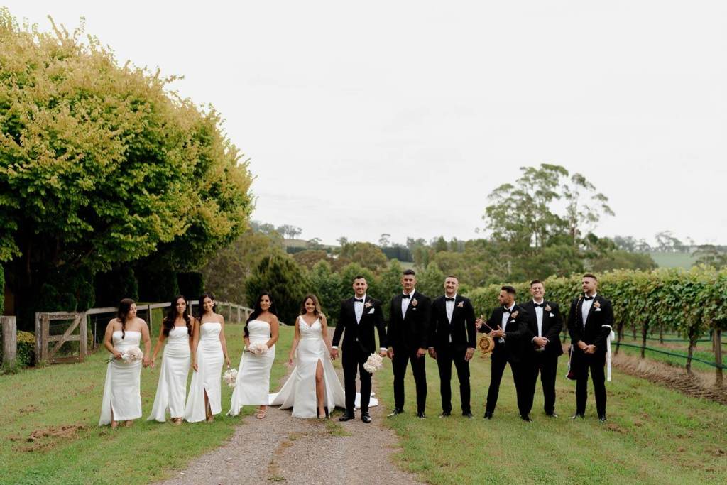 Bridal party walking in Centennial Vineyards