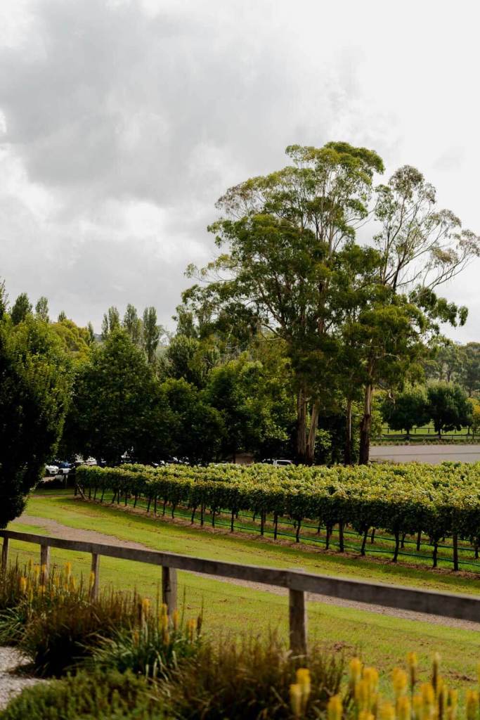 The Centennial Vineyards wedding reception